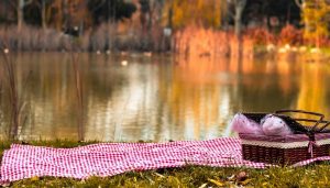 Panier de pique-nique et couverture vichy au lac